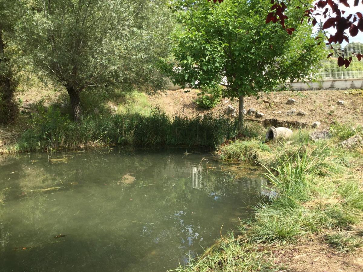 Mazet Lavande Saint-Martin-de-Brômes Zewnętrze zdjęcie